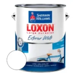 Pintura Látex Sherwin Williams Loxon Exterior Mate Blanco 10 Litros