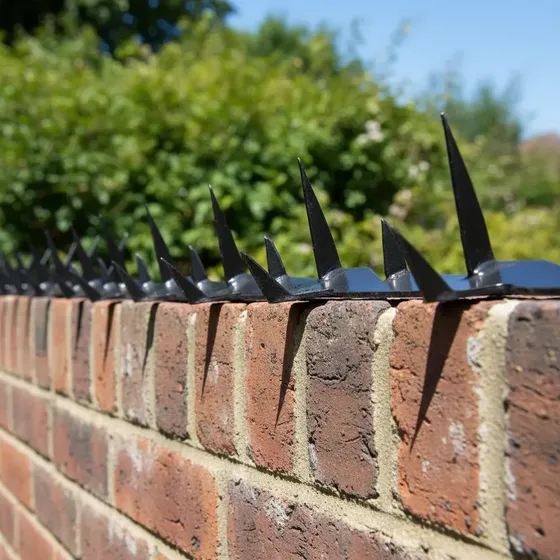 Púas Pinches de Seguridad Diente de Tiburón - 97cm (Pack x 10 unidades)